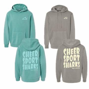 Youth EST 2003 Oversized Puff Print Hoodie