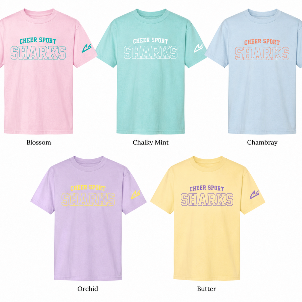 CSS Summer Pastel T-Shirt (Youth)
