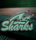 CS Sharks 10" Night  Lamp